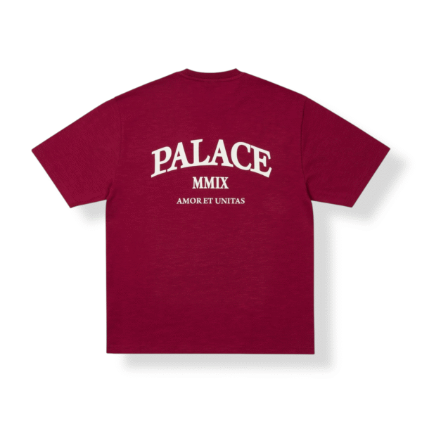 photoroom_20250721_135306 Palace Unitas Slub T-Shirt Berg