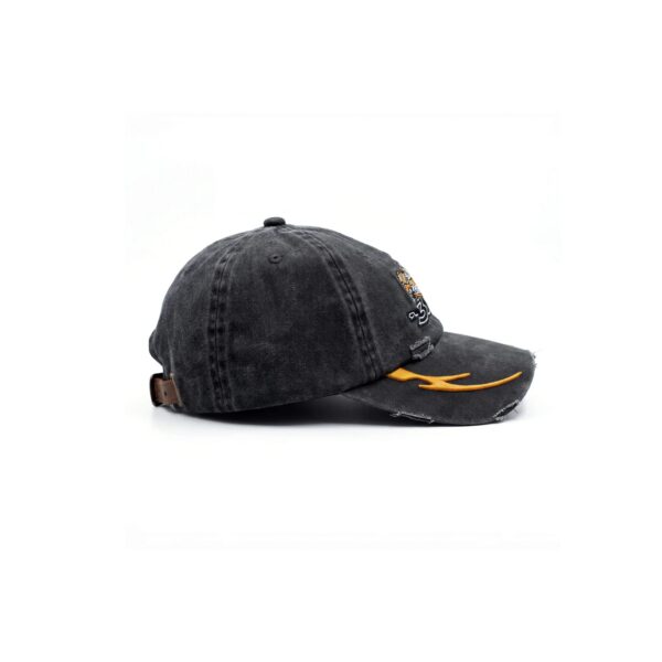 img_4589-3 DAD HAT DESTROYED "HARLEY"